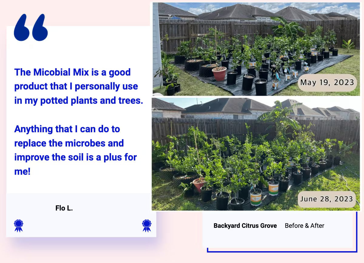 Plant Super Boost - The World's Only Live Microbial Concentrate - For Any Plant - Inoculate Your Soil And Boost Your Plants Roots