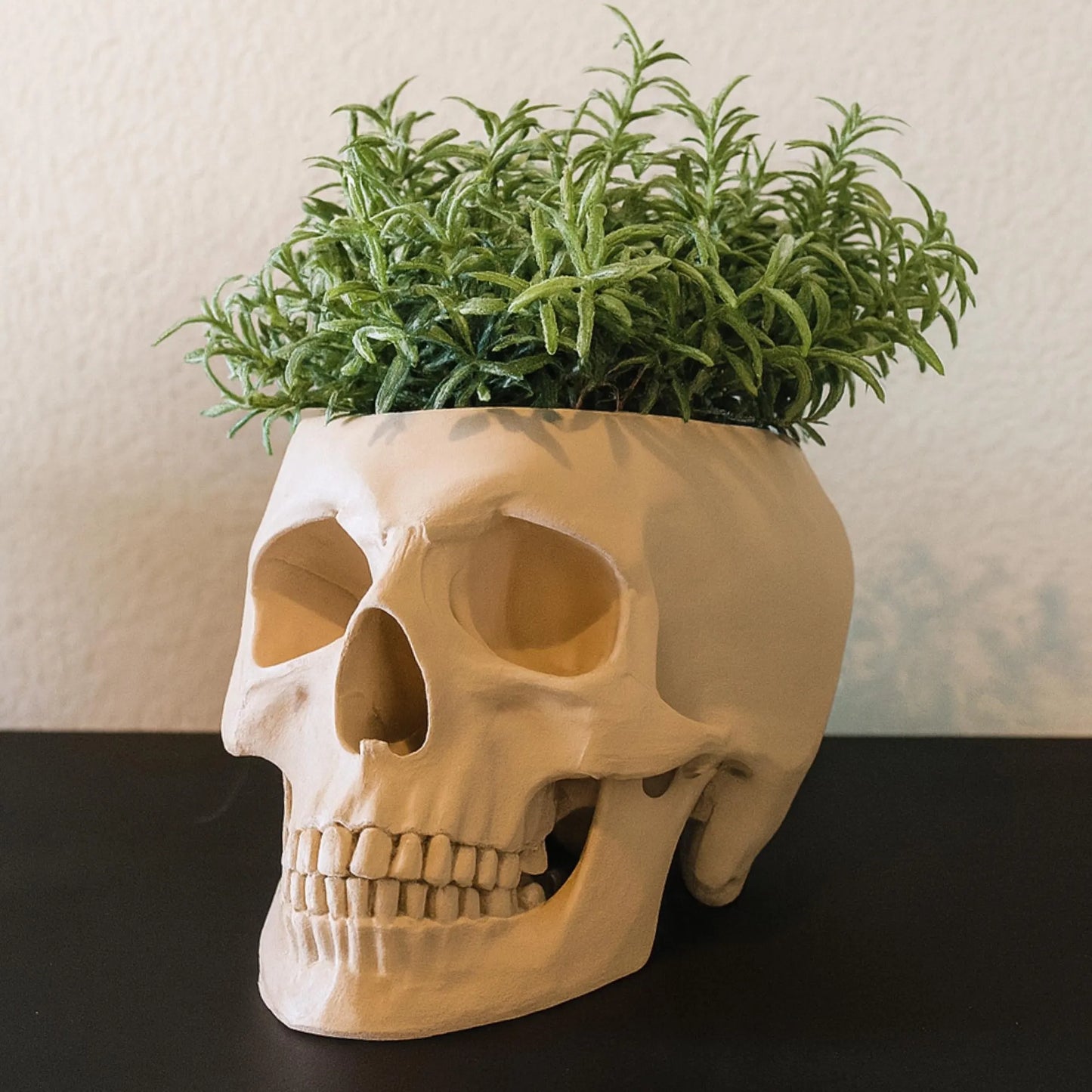 Skull Planter Pot - Plant pot 3D Printed - Human Skull Replica - Halloween decor - Plant Horror Gothic - Succulent Planter - Memento mori
