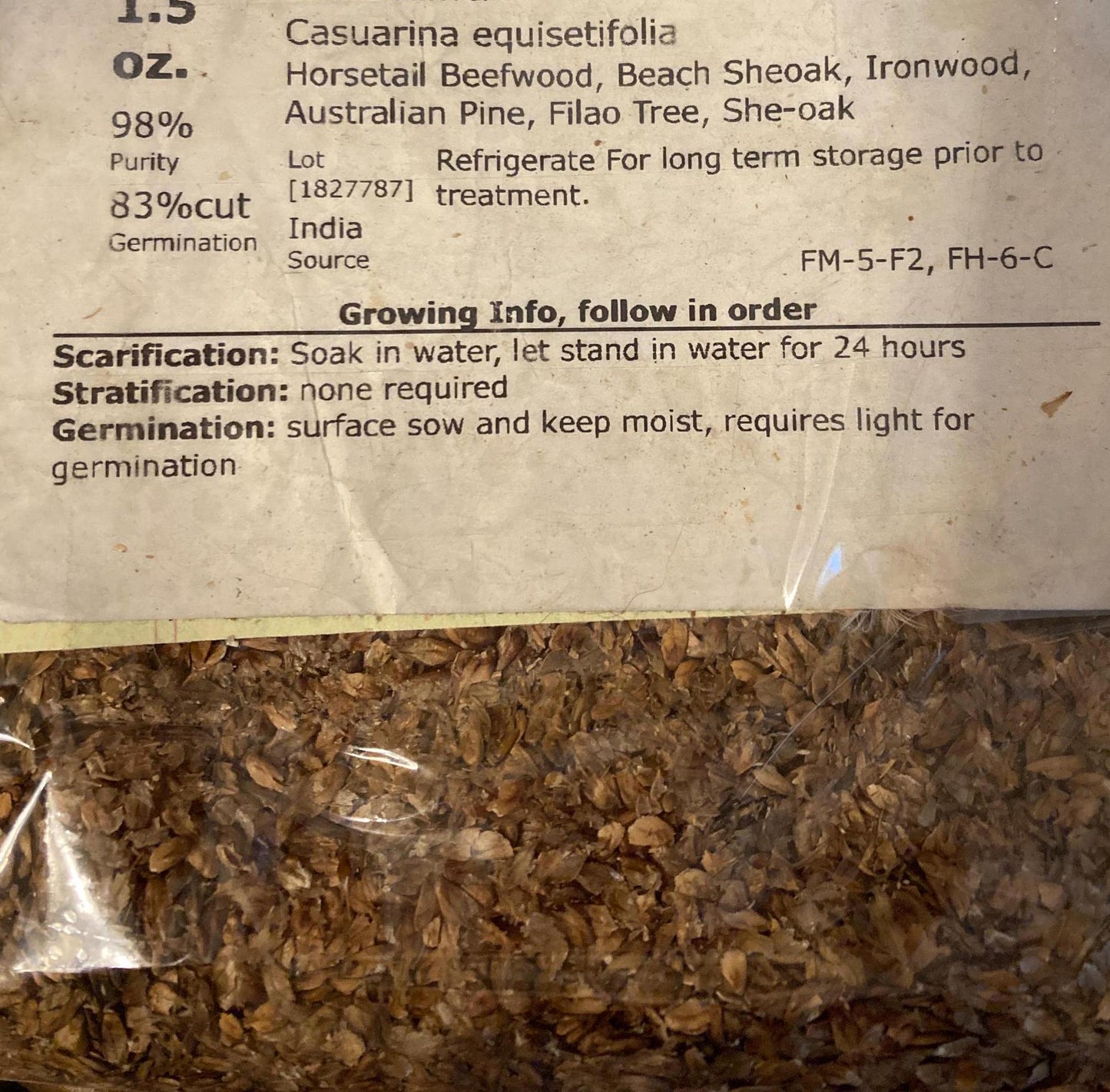 Horsetail Beefwood Tree Seeds (CASUARINA EQUISETIFOLIA ) (Beach Sheoak, Ironwood, Australian Pine, Filao Tree, She-oak)