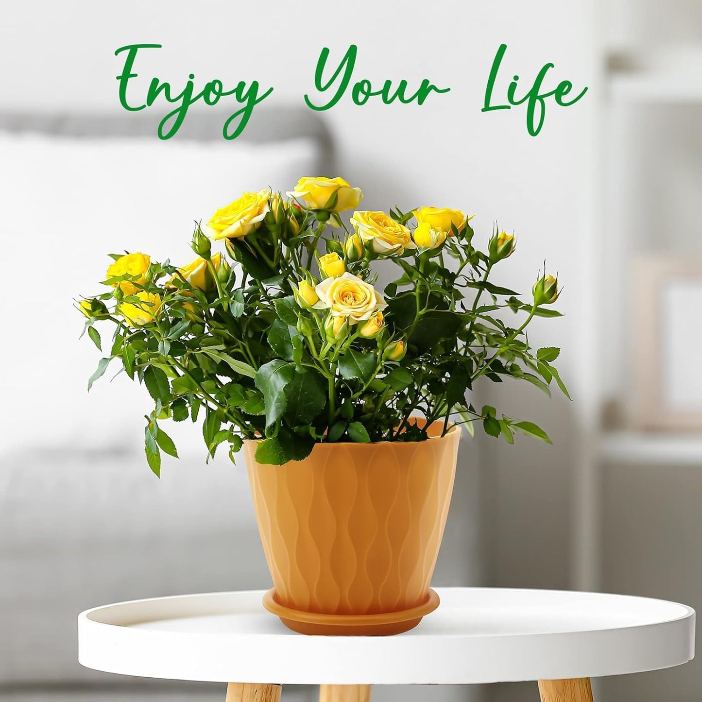 6 inch Plant Pots, 5 Pack Flower Pots Outdoor Indoor, Planters with Drainage Holes and Tray Saucers(Multicolor)