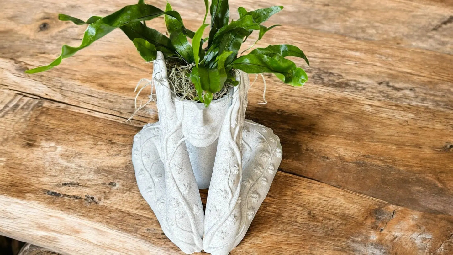 Ivy Goddess Head Planter, Woman Bust Flower Pot, Indoor, Outdoor Plants, Succulents, Cacti, Airplants, Boho Sculpture Decor Home, Office