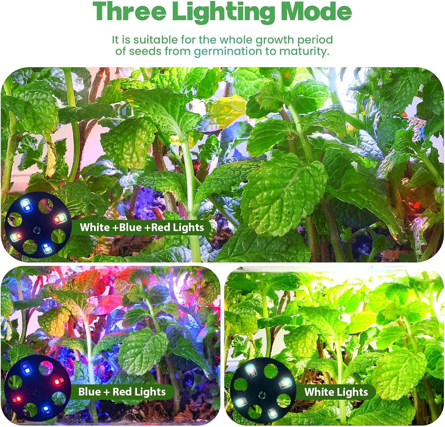 Seed Starter Trays with Grow Lights, 72 Cells Seed Starter Kit with Lights, 3 Lighting Mode, 4 Timing Set, Germination Kit for Seed Starting Trays, Seedling Starter with High Humidity Control Domes