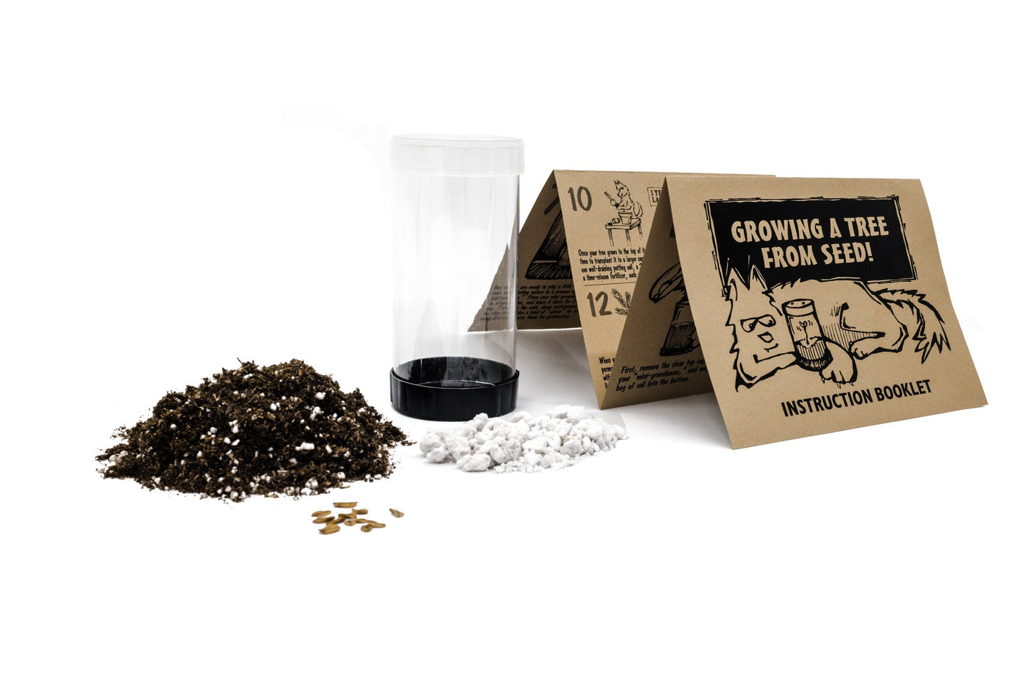 Bonsai Tree | Seed Grow Kit | The Jonsteen Company
