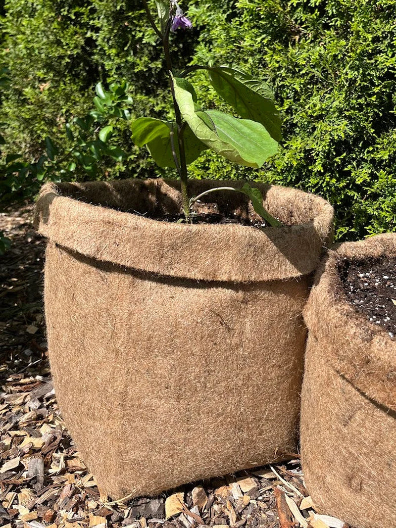 Hemp Material Pot Planter: Eco-Friendly Grow Bag
