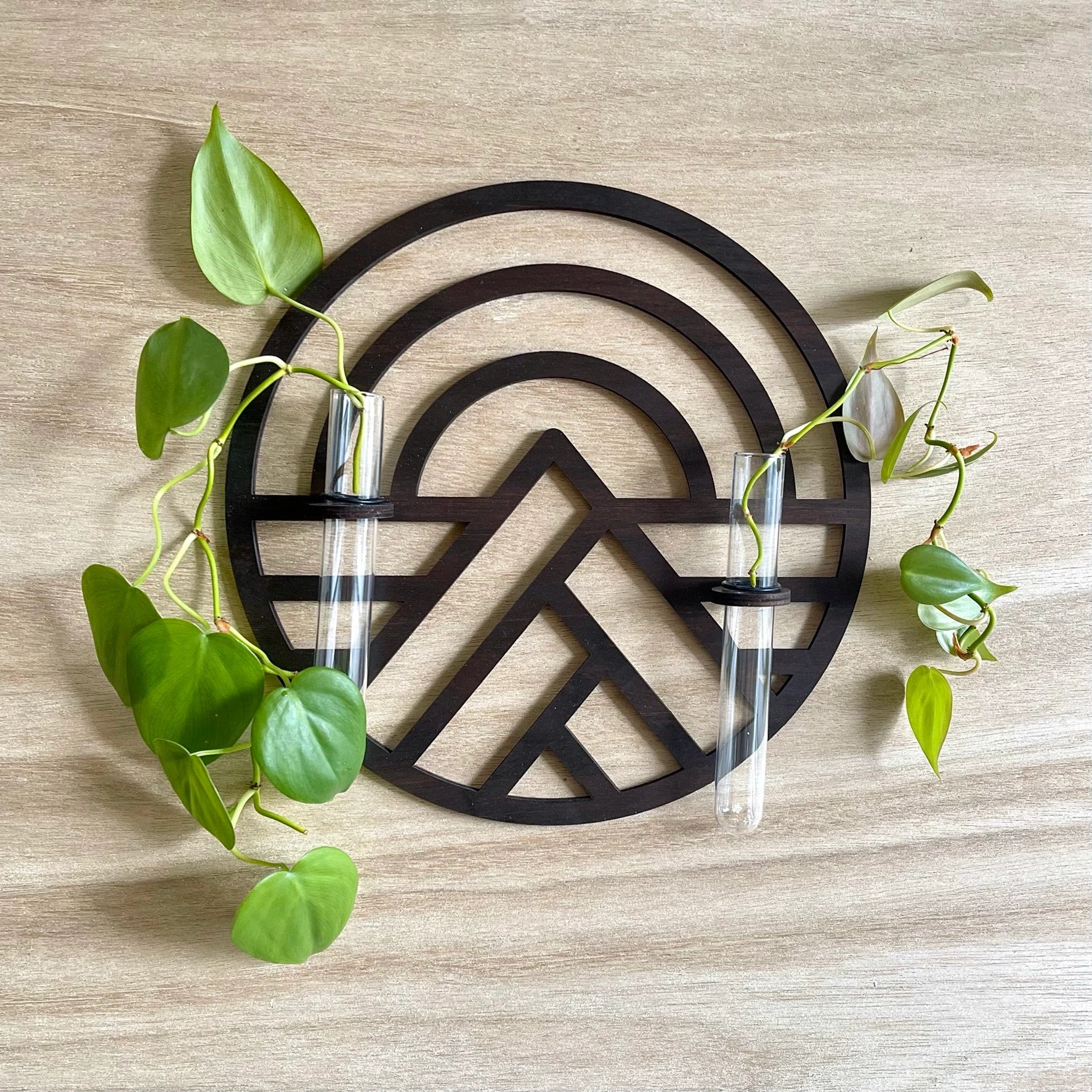 Wood Wall decor / Propagation station Air Plant Mountain Wall planter indoor Natural PNW Hanging Gifts for her plant lovers Plant Wall