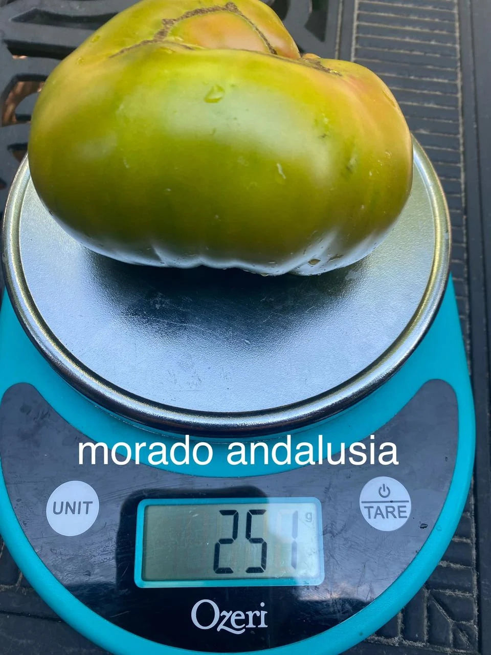 Morado Andalusia Tomato Seeds