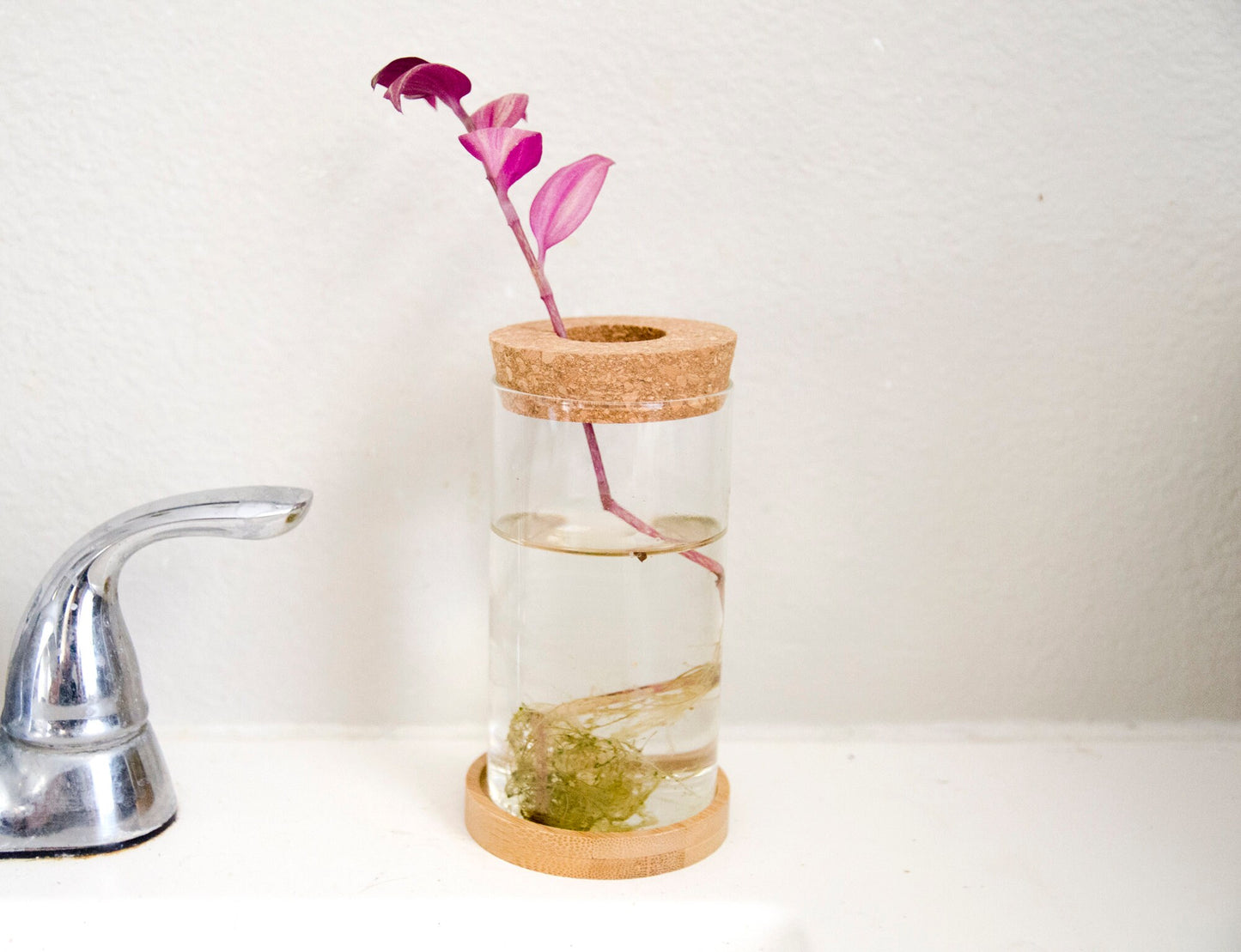 Propagation Jar Hydroponic Vase Cork Lid Plant Terrarium