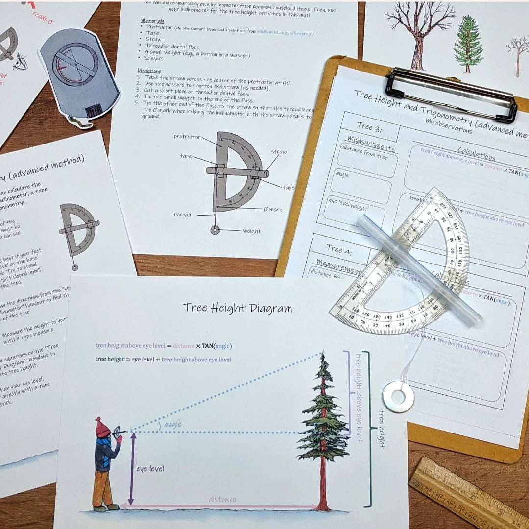 Forest Collection: Three complete tree and forest-themed unit studies! Covering forest ecology, math, plant biology, and more!