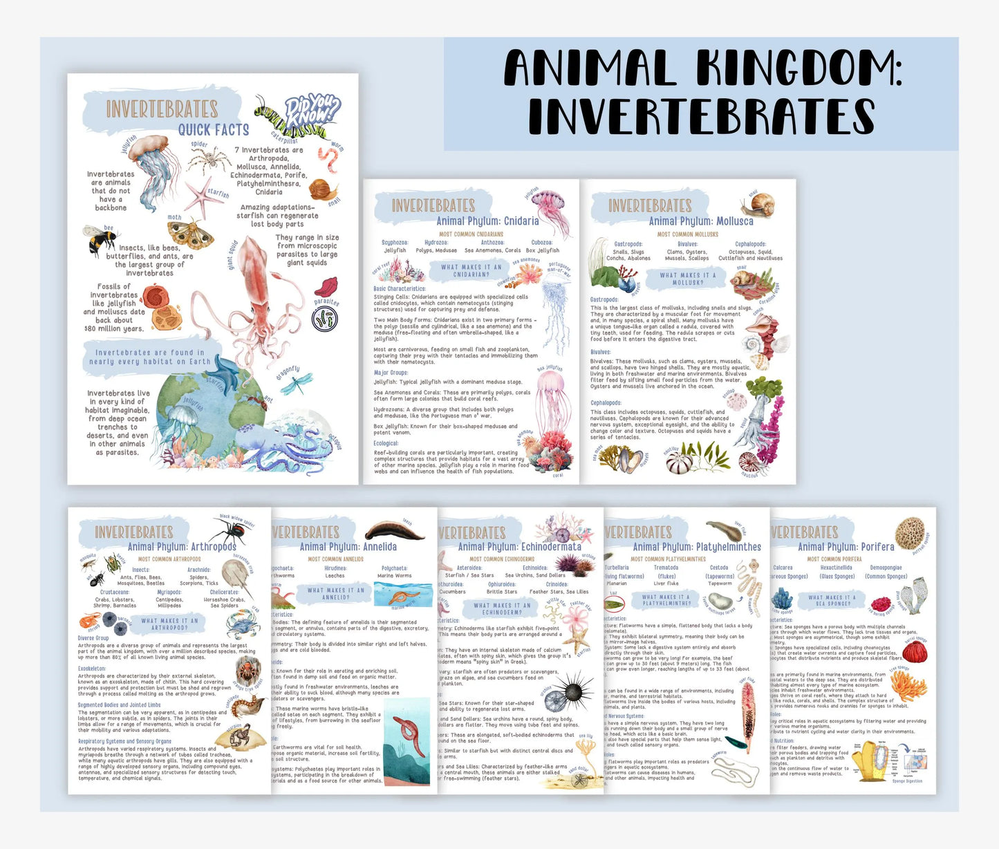 3 Unit Study BUNDLE Educational Resources for Teachers, Homeschool and Montessori Learning Spaces, Watercolor Illustrations