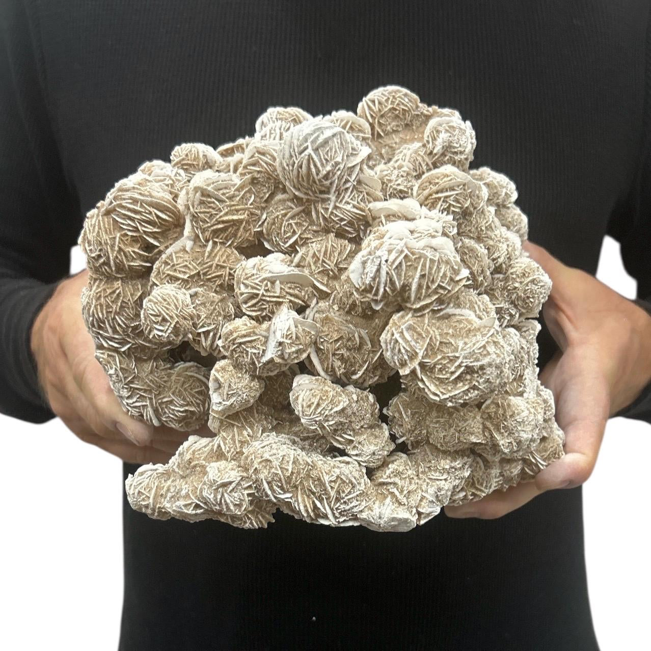 Huge Beautiful Raw Natural Desert Rose Cluster 9" 11.35 lbs | Gypsum Rock Mineral