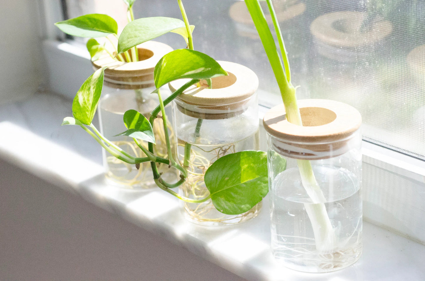 Propagation Station Jar Flower Vase with Bamboo Lid