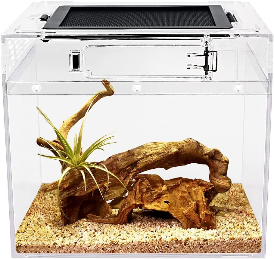 Mini Reptile Terrarium,8" x 8"x 8" Reptile Tank with Full View Visually Appealing,for Insect,Fish,Tarantula,Hermit Crab,Jumping Spider,Iguana,Tortoise,Leopard Gecko,Frog,Bearded Dragon