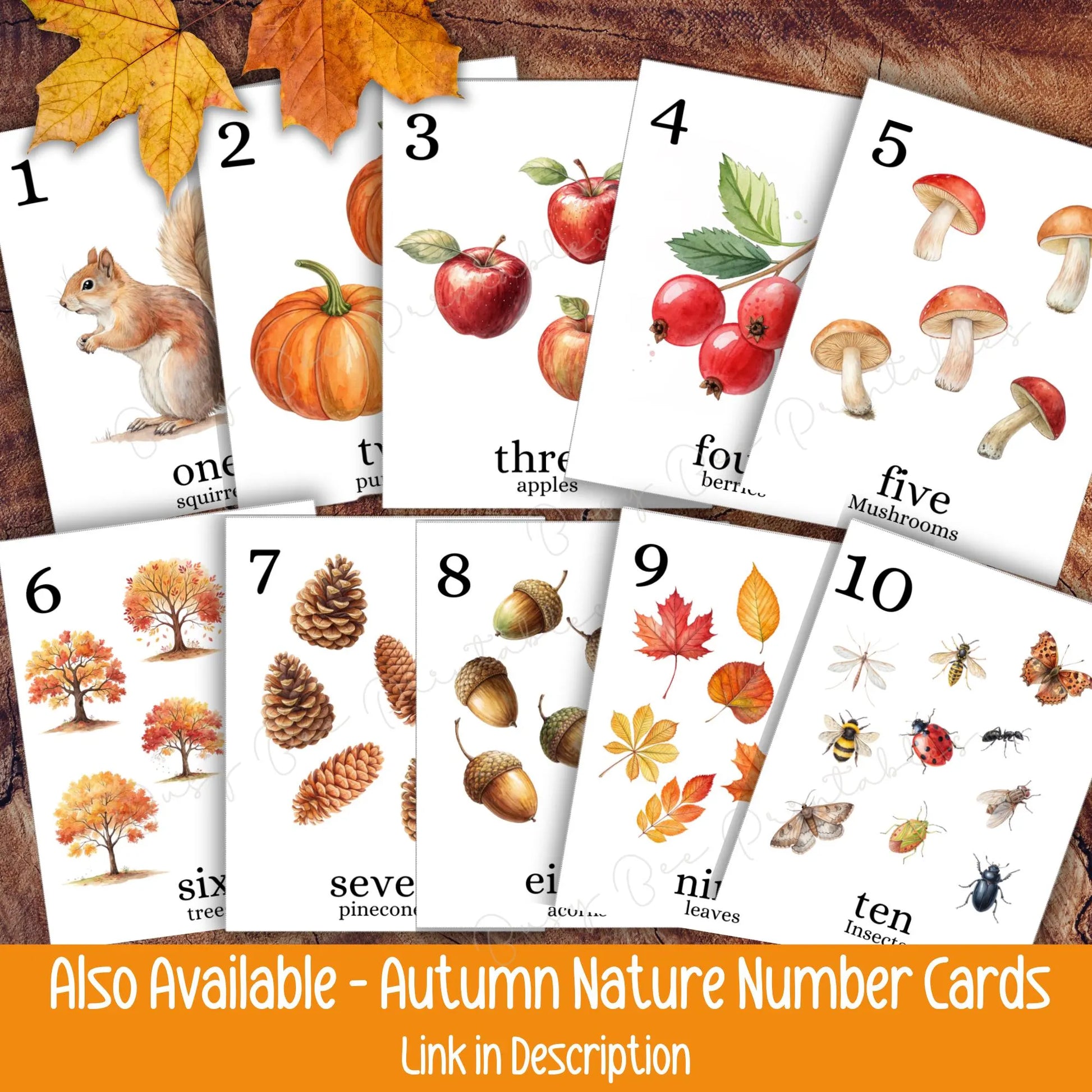 Autumn Count and Clip Cards, Fall Nature Counting Activity for Toddlers & Preschool, Montessori Printable