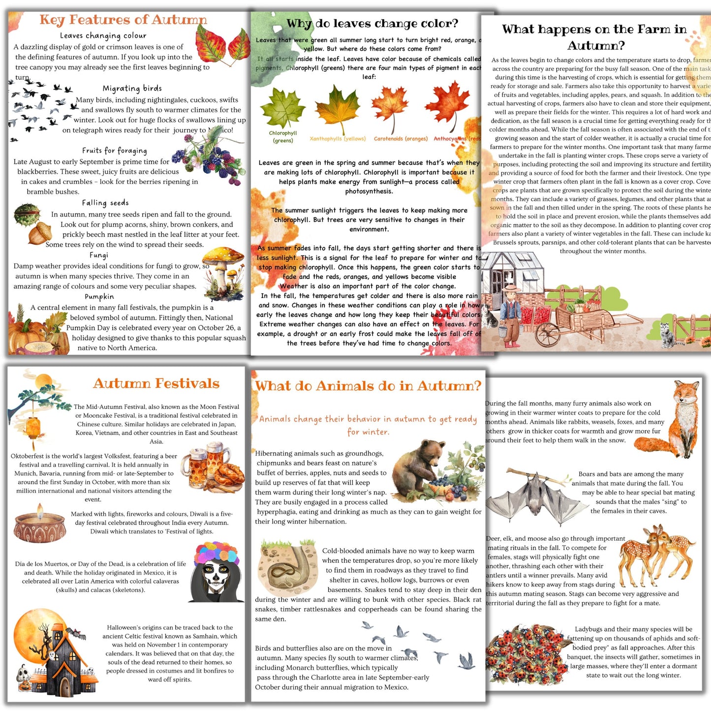 fall unit study, Mushroom unit study, Corn unit study, Fox unit study, Oak tree cycle, Fall activities, Fall nature study, Montessori fall