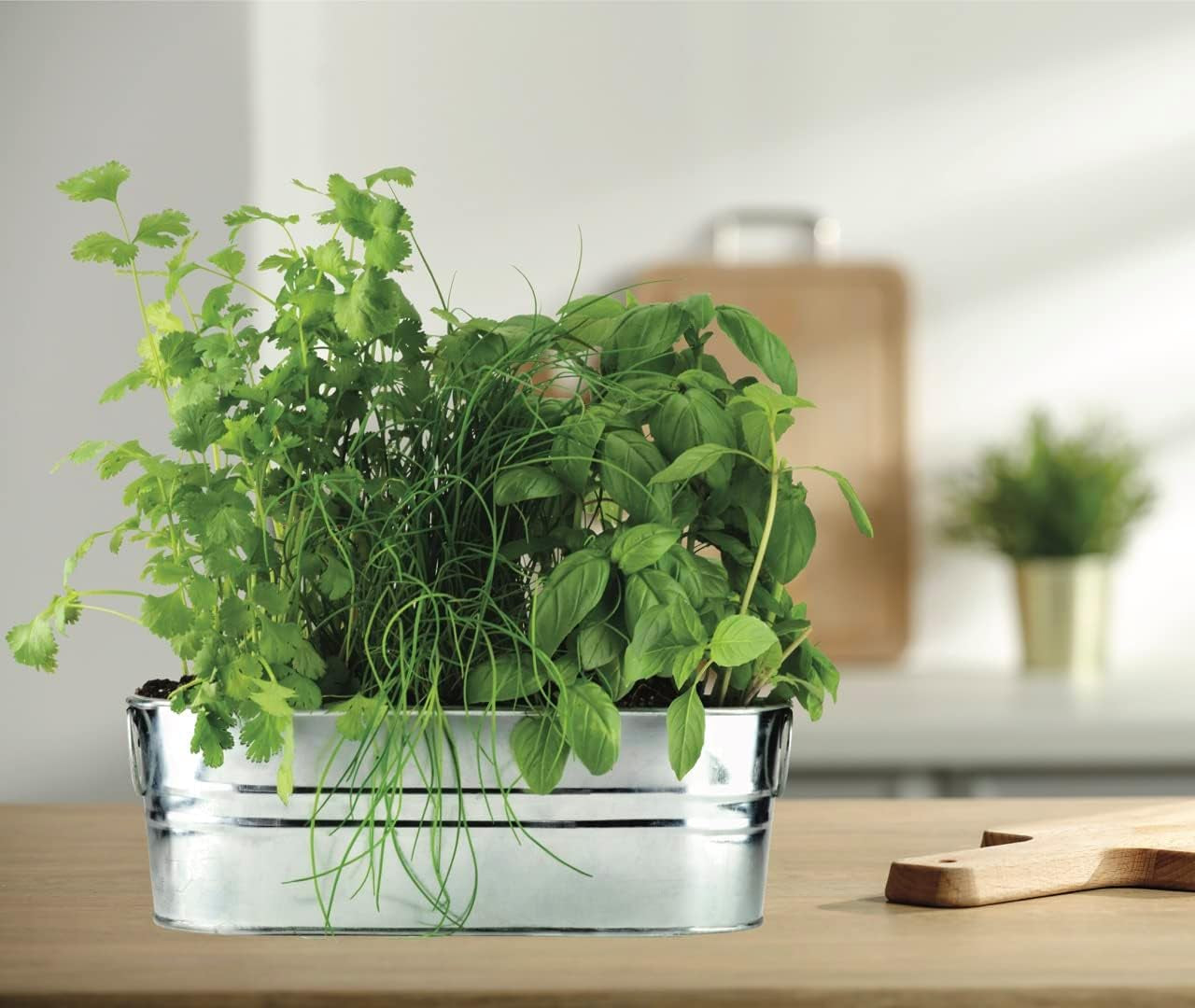 Organic Windowsill Grow Kit | Kitchen Herbs: Basil, Cilantro, and Chives Starter Kit for Kids & Adults | Guaranteed to Grow | Best Indoor-Outdoor Gardening Gift