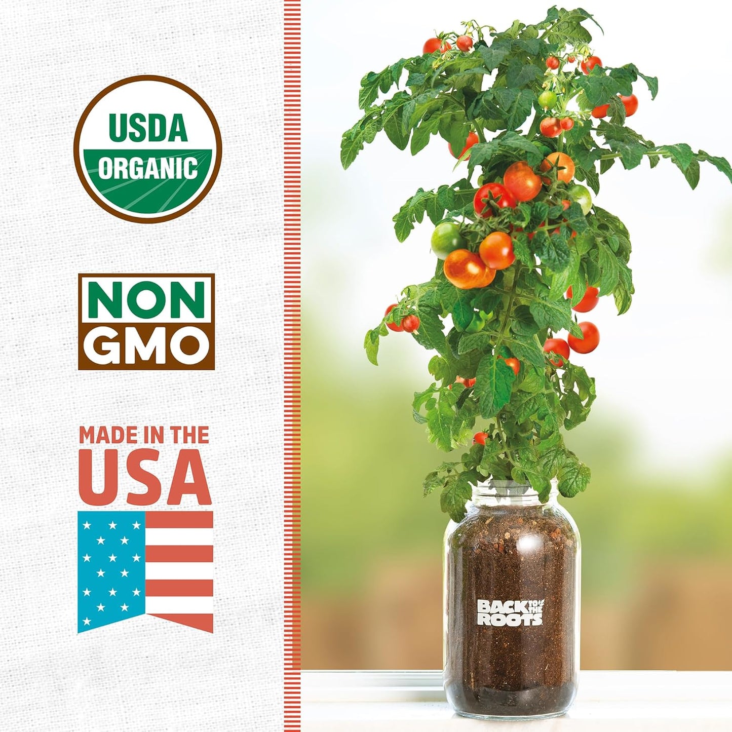 Cherry Tomato Organic Windowsill Planter Kit - Grows Year Round, Includes Everything Needed for Planting