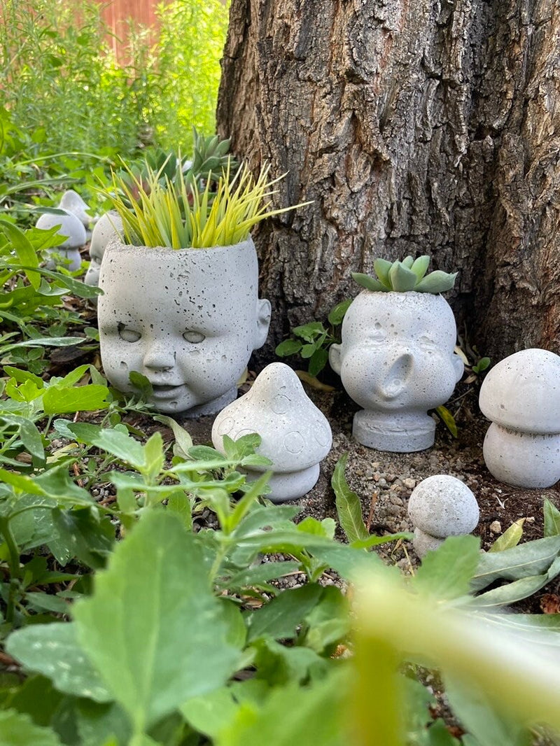 Mushrooms Concrete Garden Planter Decorations Pots Fairy Vegetable
