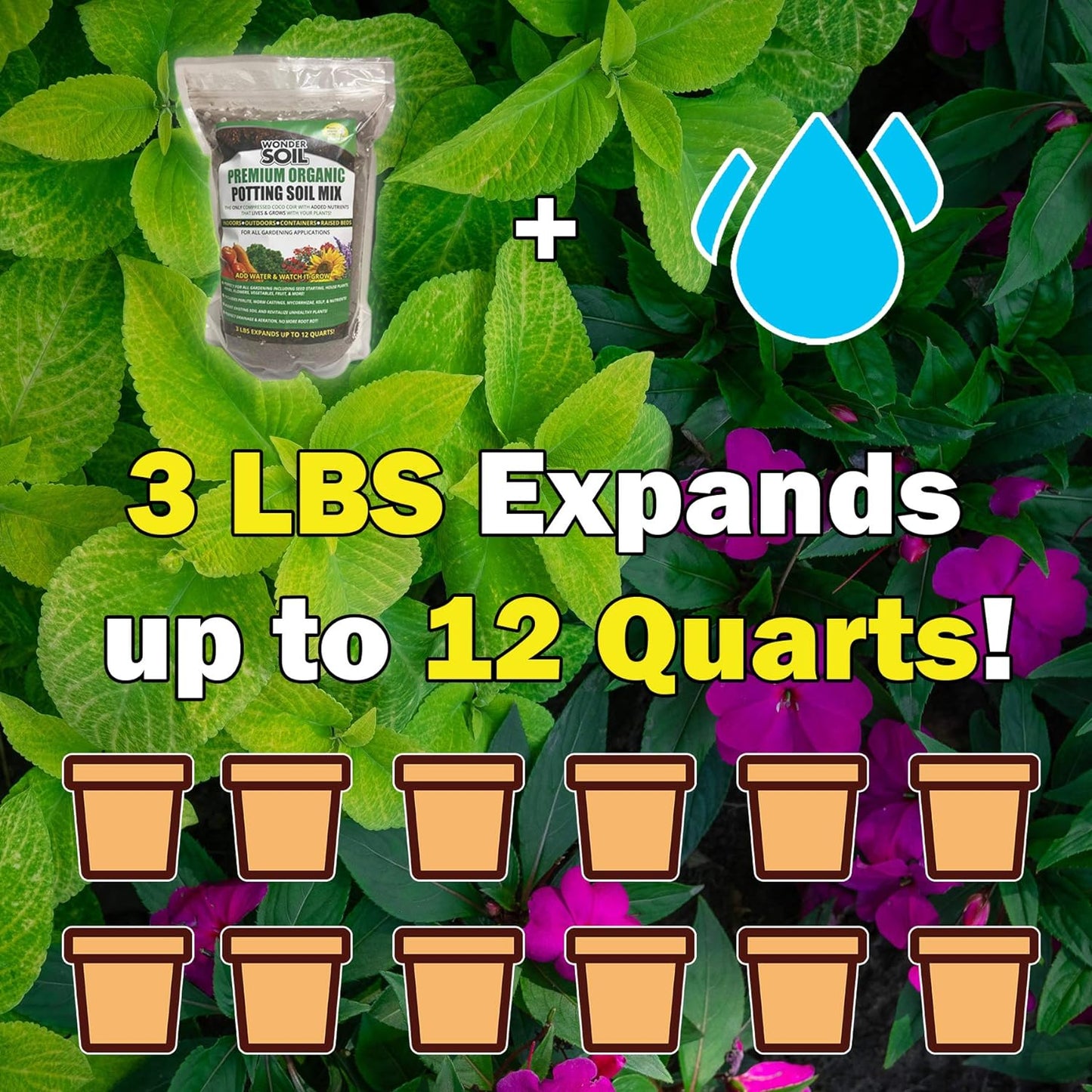 Organic Potting Soil | Ready to Plant Coco Coir Fully Loaded with Nutrients | 3 LBS Bag Expands to 12 Quarts of Indoor Outdoor Soil for Gardens & Plants | Incl Worm Castings, Perlite