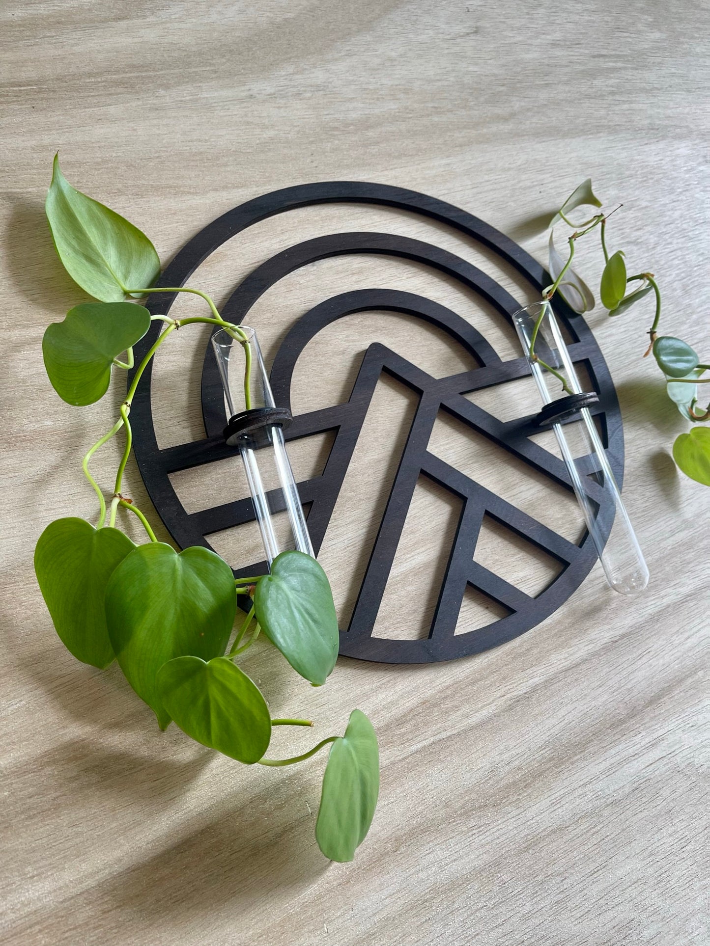 Wood Wall decor / Propagation station Air Plant Mountain Wall planter indoor Natural PNW Hanging Gifts for her plant lovers Plant Wall