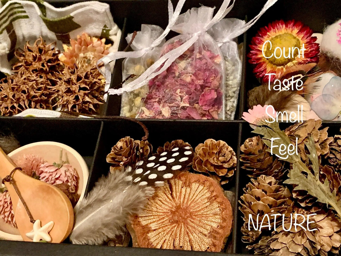 Kids Nature Sensory Crafting Boxes Montessori Waldorf Forest School Creative Play and Math