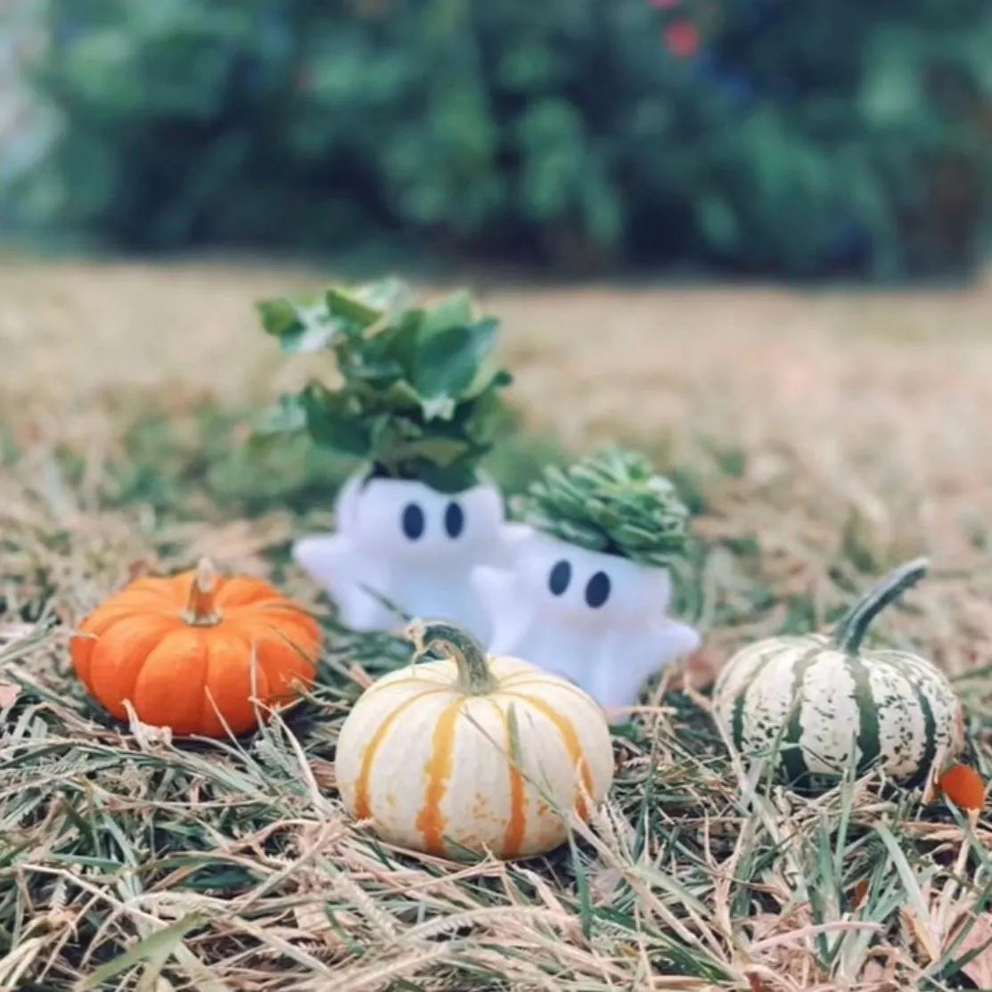 Spectral Serenity: 3D Printed Halloween Ghost Shaped Planter for Enchanting Succulents