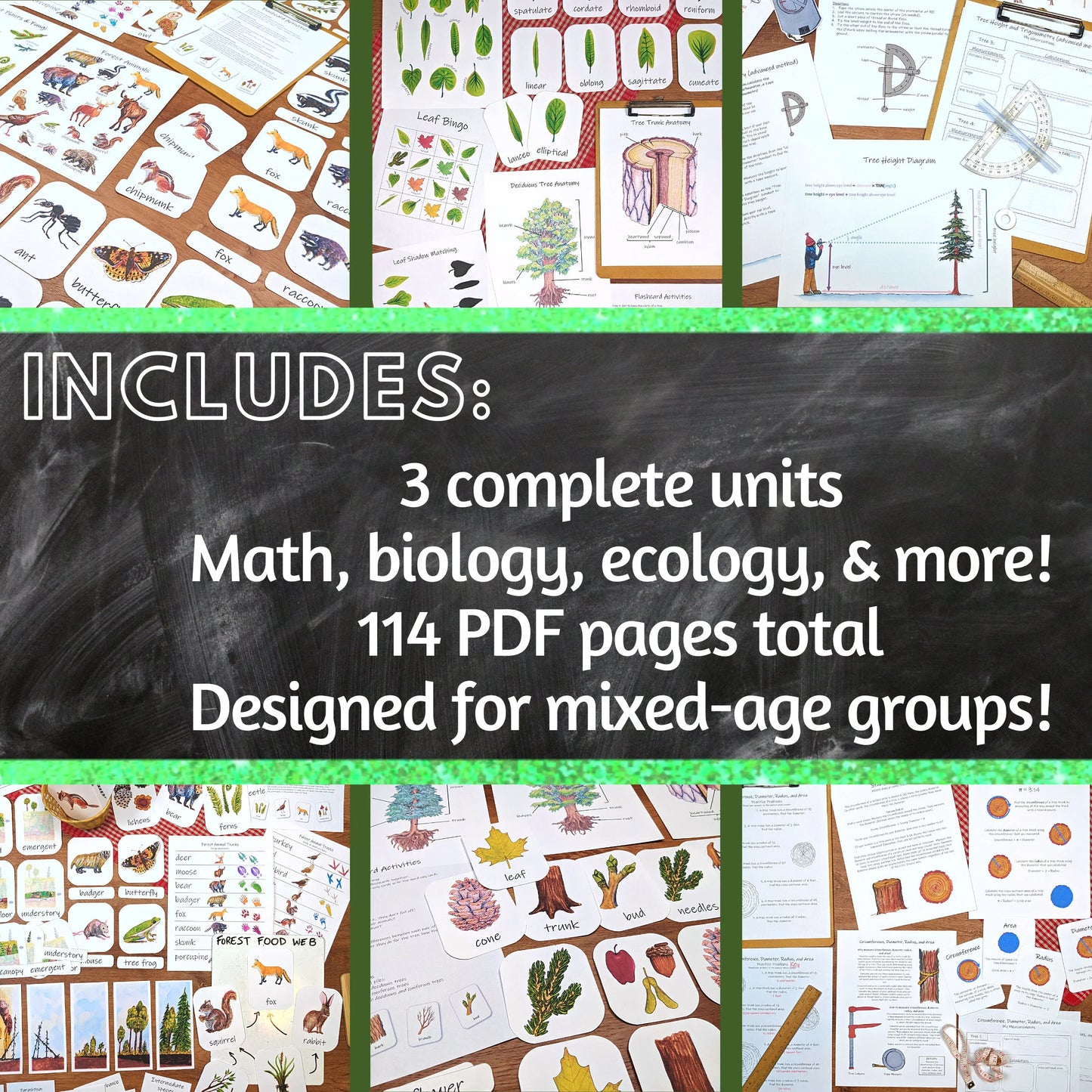 Forest Collection: Three complete tree and forest-themed unit studies! Covering forest ecology, math, plant biology, and more!
