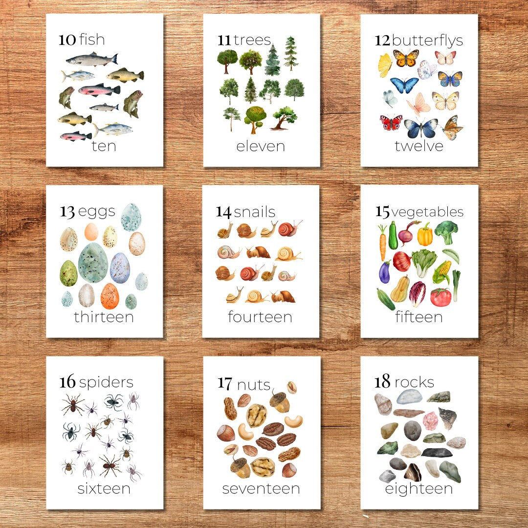 Nature Number Cards 1-20 Classroom Math Counting Cards Nursery Wall Art Montessori Pre K Homeschool Activities Classroom Nature Aesthetic