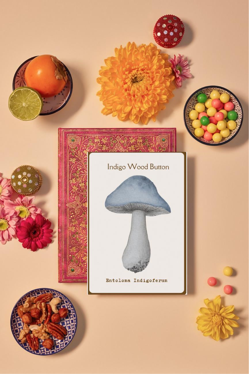 Watercolor Mushroom Flashcards | Reggio Nature Study, Montessori Learning Materials, Charlotte Mason, Early Childhood, Homeschool Printables