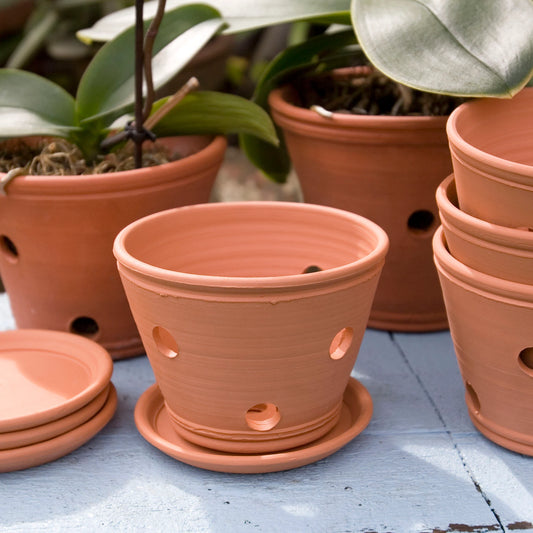 Handmade Terracotta Orchid Planter with Saucer - 4.5 Inch
