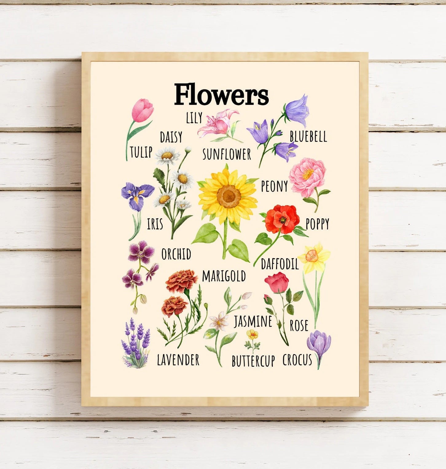 Insects Educational Poster, Flowers Poster, Printable Wall Art, Nature Learning Poster, Montessori, Homeschool, Classroom, Forest School