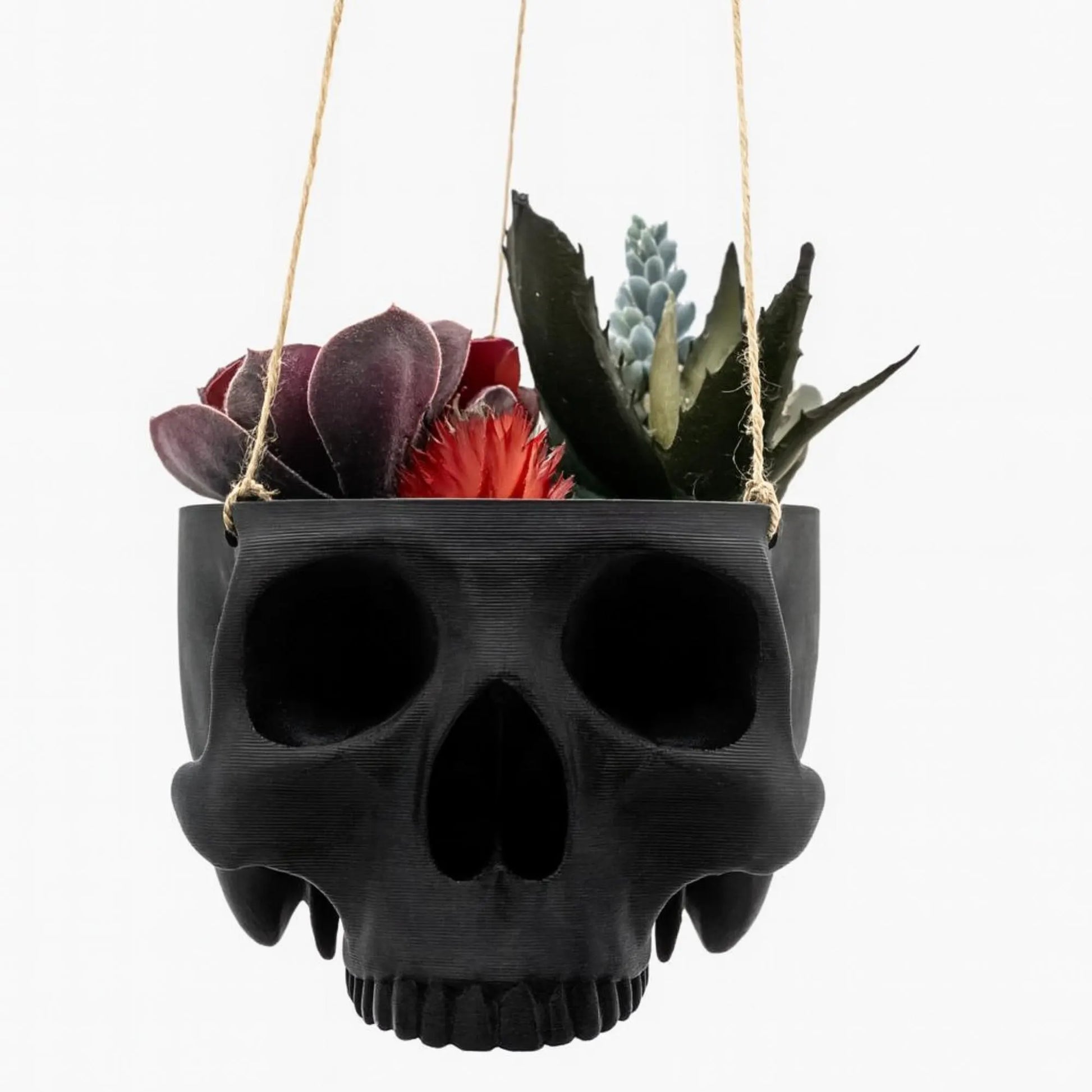 Skull Hanging Planter Pot, hanging kit included - Succulent Planter - 3D Printed - skull planter pot - halloween decor - Plant Horror Gothic