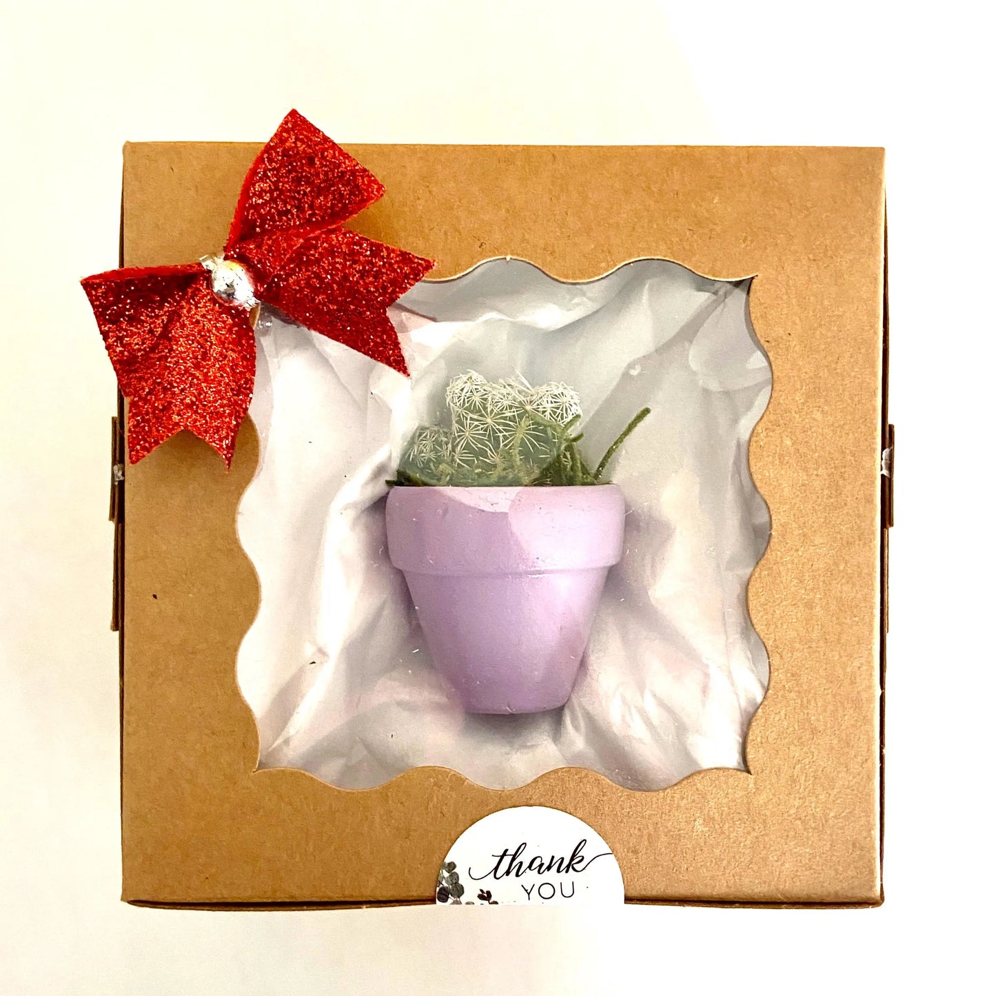 Mini Potted Succulent: Tiny Live Plant Gift, Baby Shower Favor