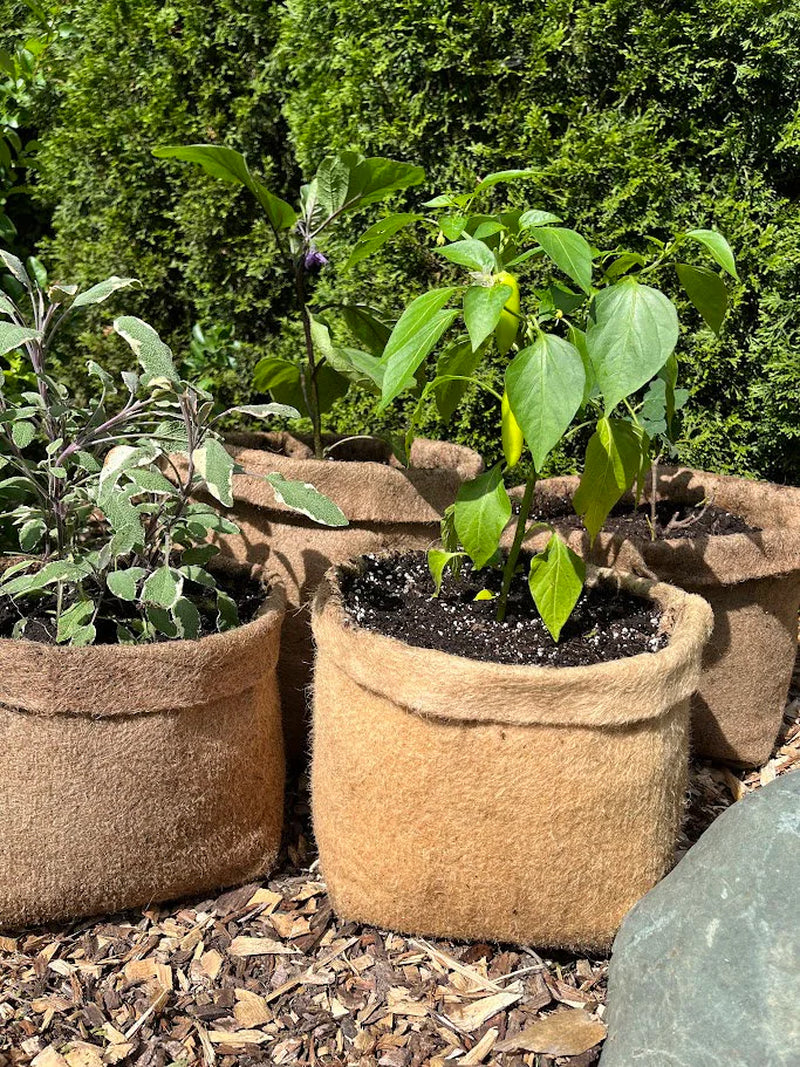 Hemp Material Pot Planter: Eco-Friendly Grow Bag