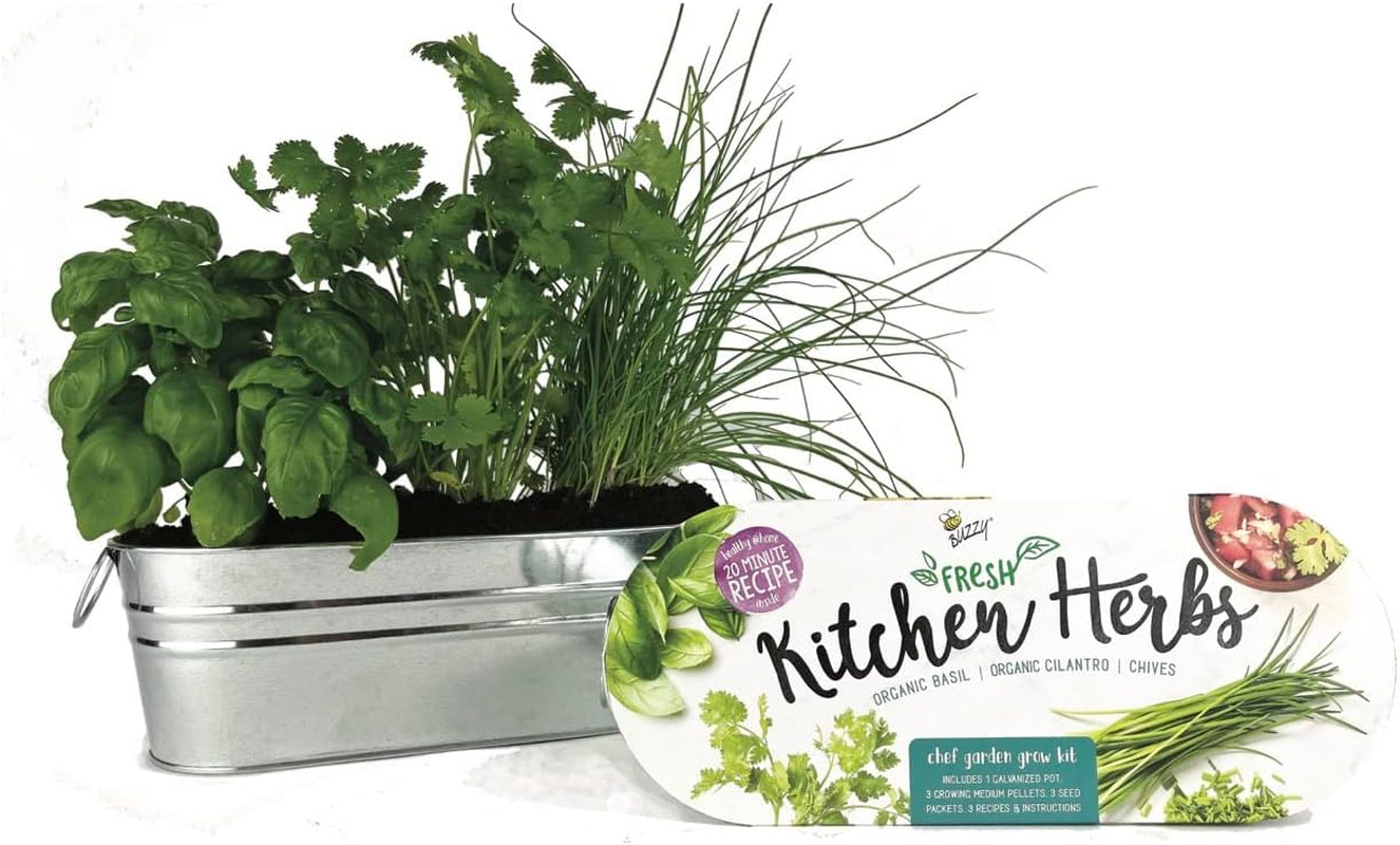 Organic Windowsill Grow Kit | Kitchen Herbs: Basil, Cilantro, and Chives Starter Kit for Kids & Adults | Guaranteed to Grow | Best Indoor-Outdoor Gardening Gift