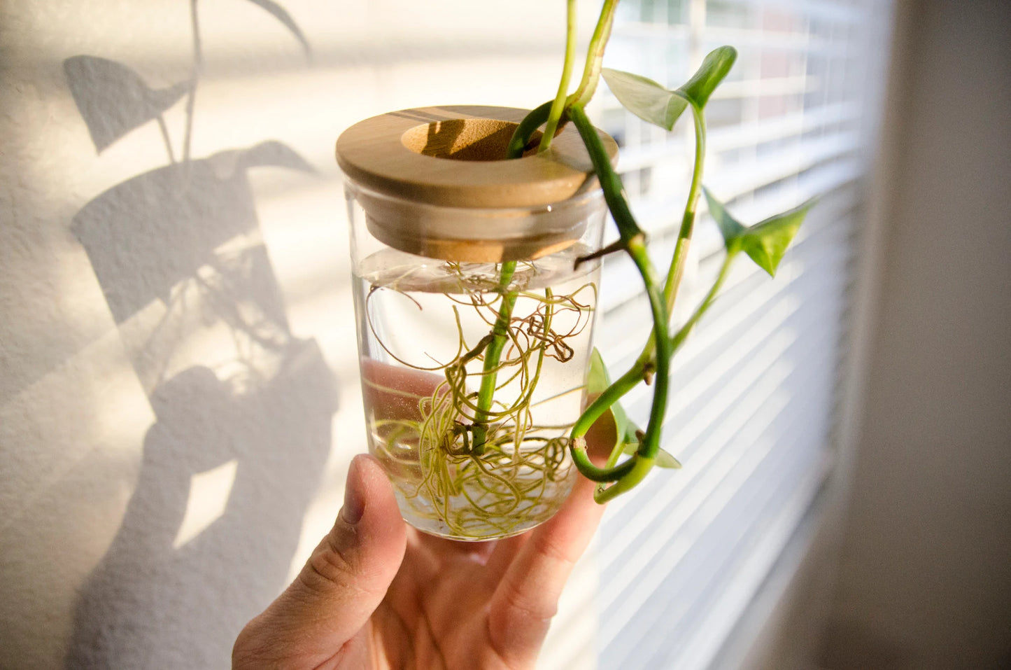 Propagation Station Jar Flower Vase with Bamboo Lid