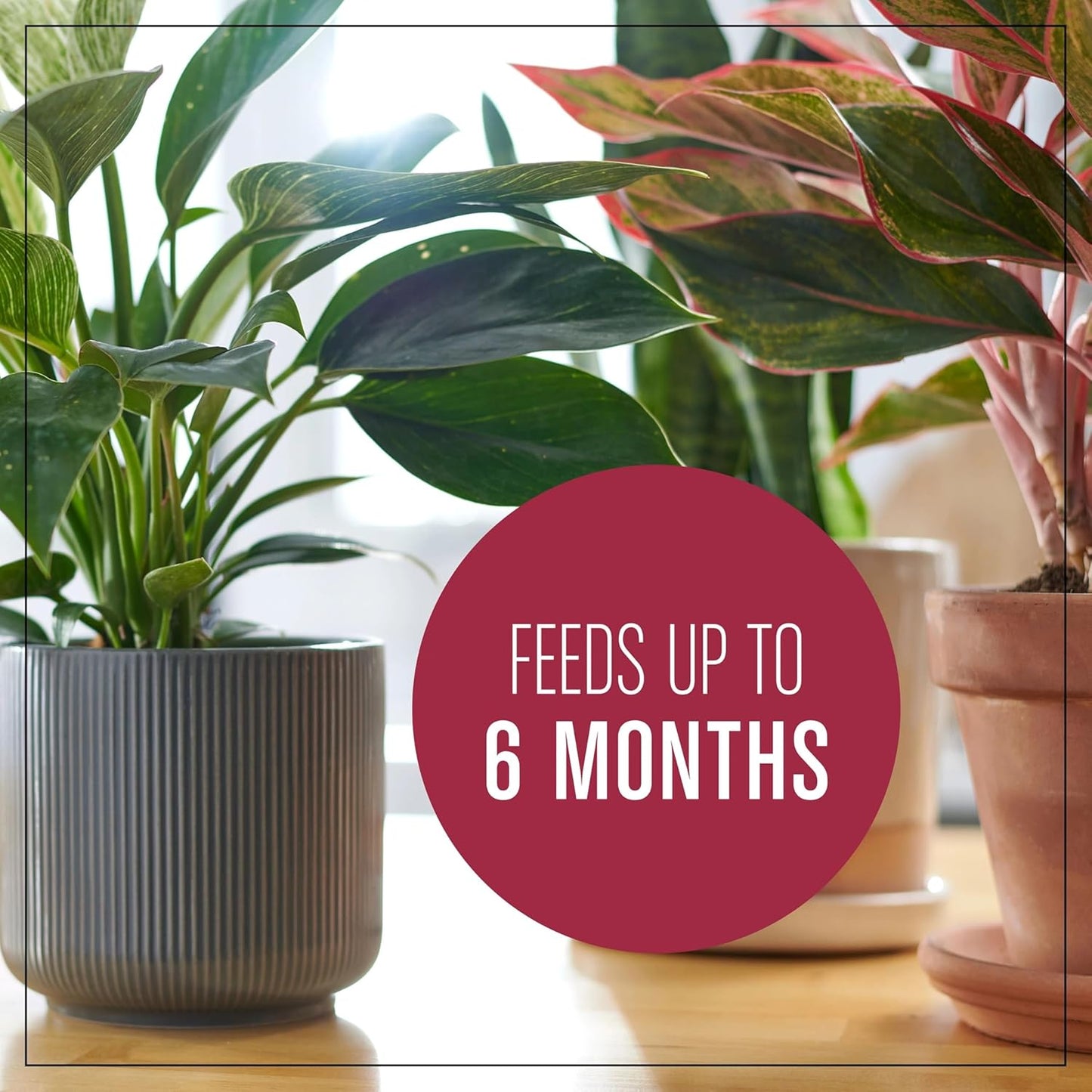 Houseplant Potting Mix: Fertilized, Perlite Soil for Indoor Gardening, Designed to Be Less Prone to Gnats, 4 qt.