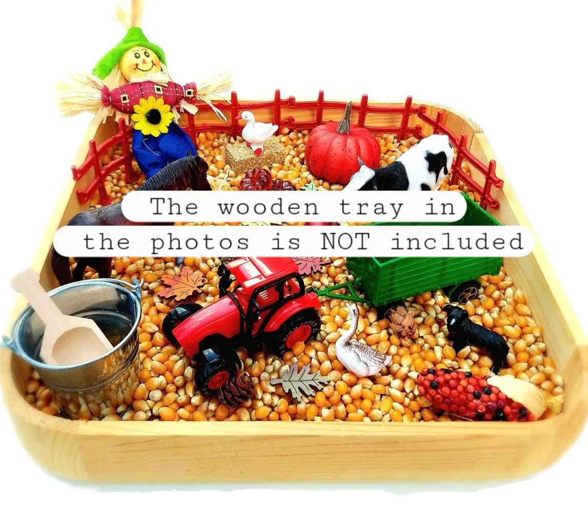 Fall Sensory Bin, Farm Sensory Bin, Toddler Sensory Activity, Preschool Classroom Favors, Thanksgiving Gifts for Kids, Montessori Toy