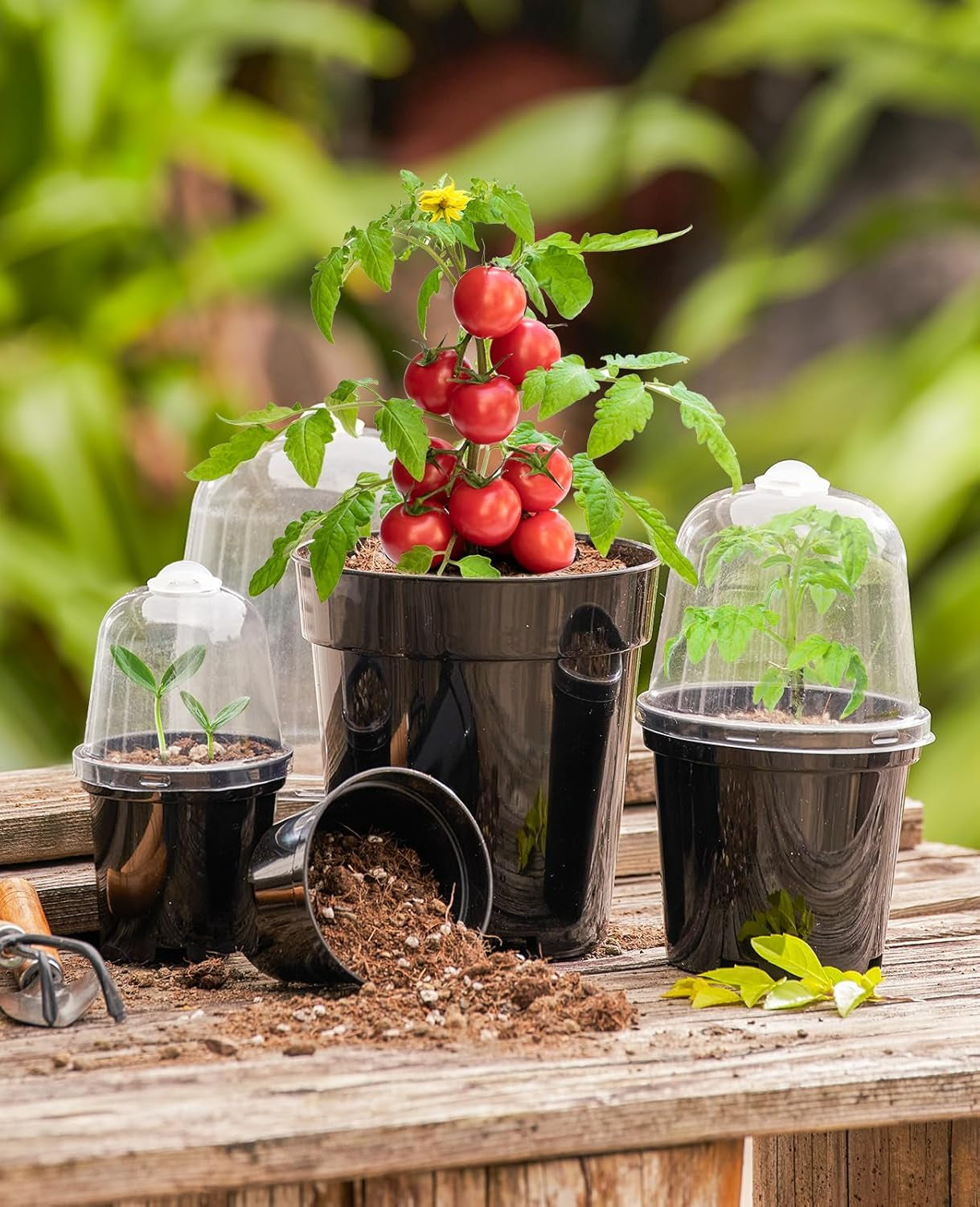 Nursery Pots for Plants,3/4/5 Inch Plant Pot for Planting with Humidity Domes Plastic Seedling with Drainage Holes Seed Starter Flower with 10 Labels Black (15 Pack)