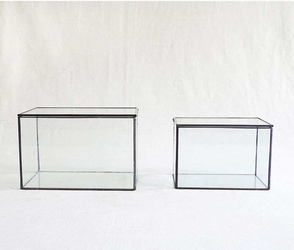 Glass Plants Terrarium with Lid,Rectangle Black Pot Box for Indoor Plants,Geometric Clear Containers for Moss and Succulent,Tabletop Decor DIY Gift,8.3”L x 4.7”W x 5.5”H