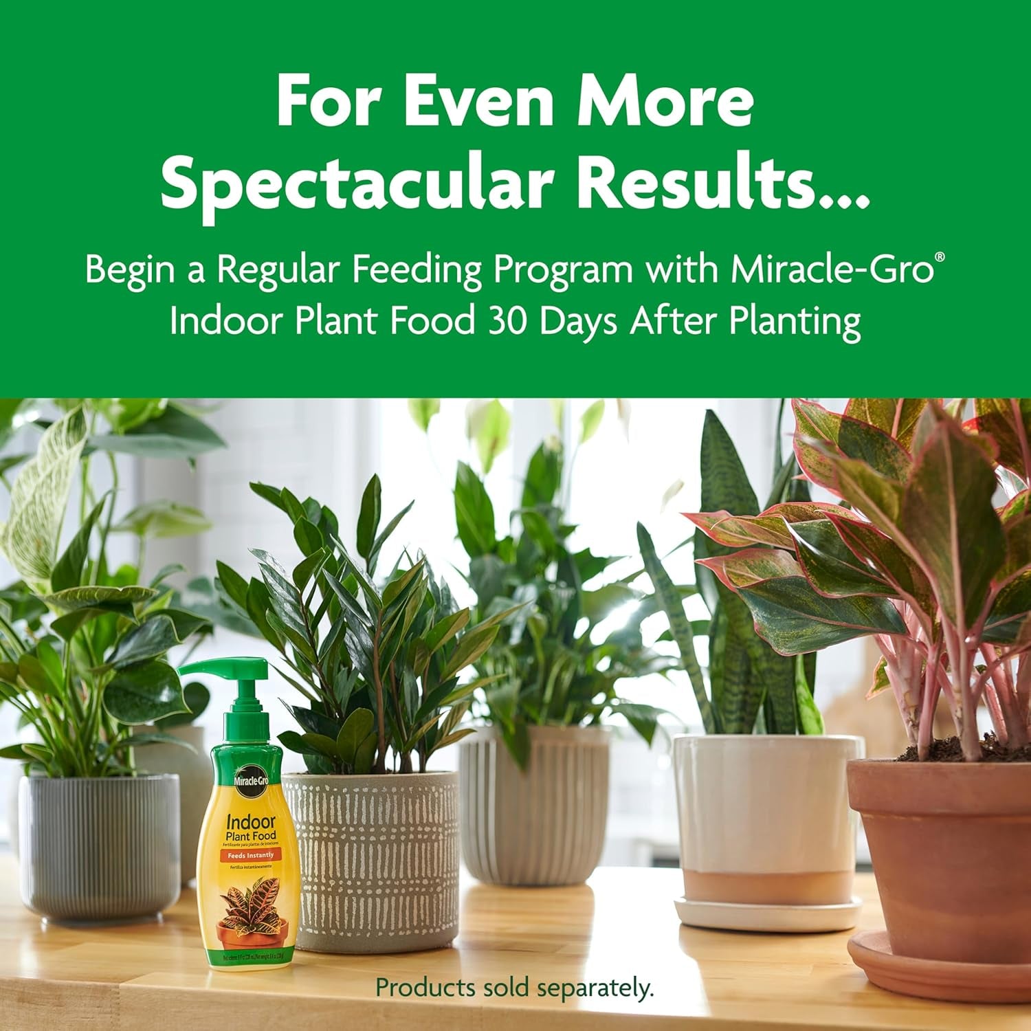 Indoor Potting Mix, Blended for a Variety of Houseplants, Feeds for up to 6 Months, 6 qt., 2-Pack