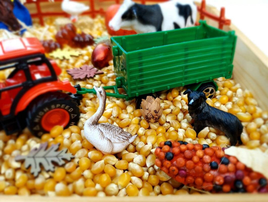 Fall Sensory Bin, Farm Sensory Bin, Toddler Sensory Activity, Preschool Classroom Favors, Thanksgiving Gifts for Kids, Montessori Toy