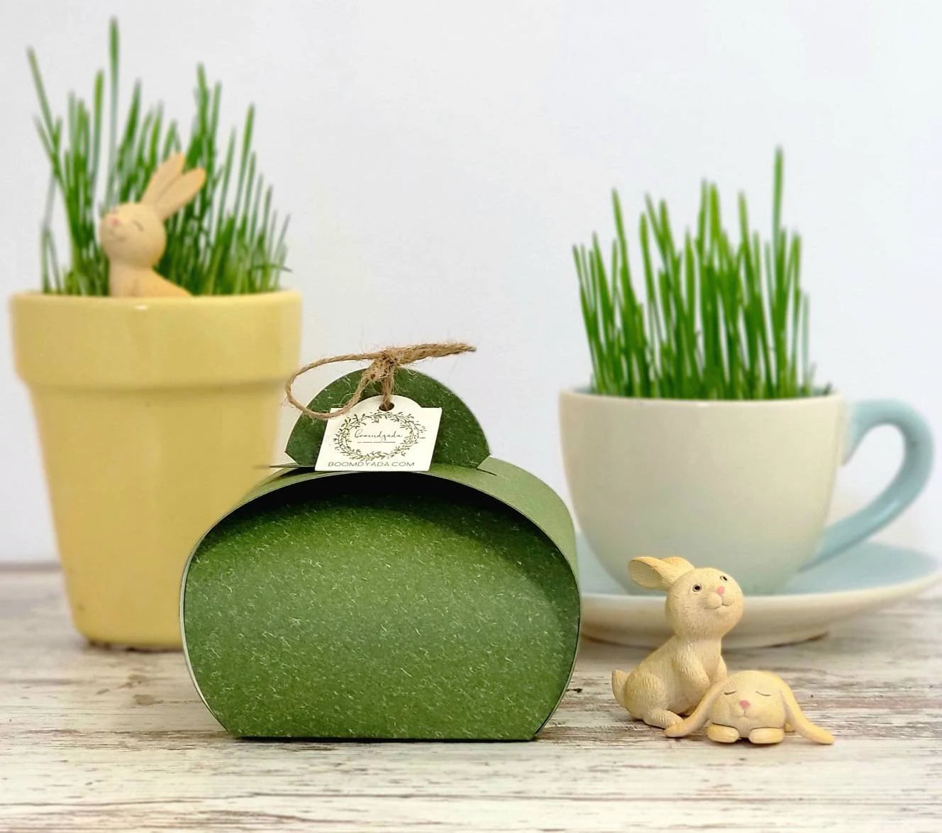 Adorable DIY Bunny Terrarium Kit by , Easter Basket Stuffer, Kids Plant Set with Wheatgrass Seeds, Fun Spring Science Craft or Gift