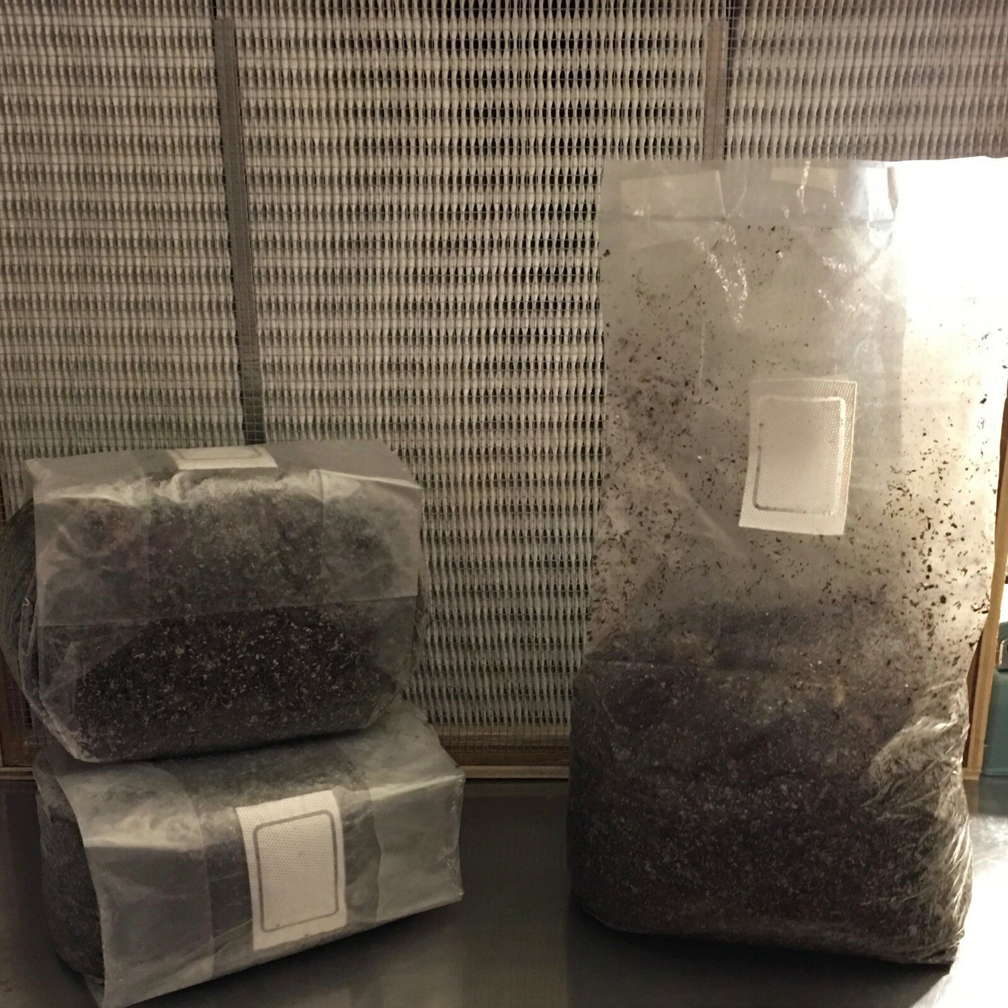 MycoHaus 2X Five LB Bags Sterilized Compost Bulk Mushroom Substrate Grow Kit