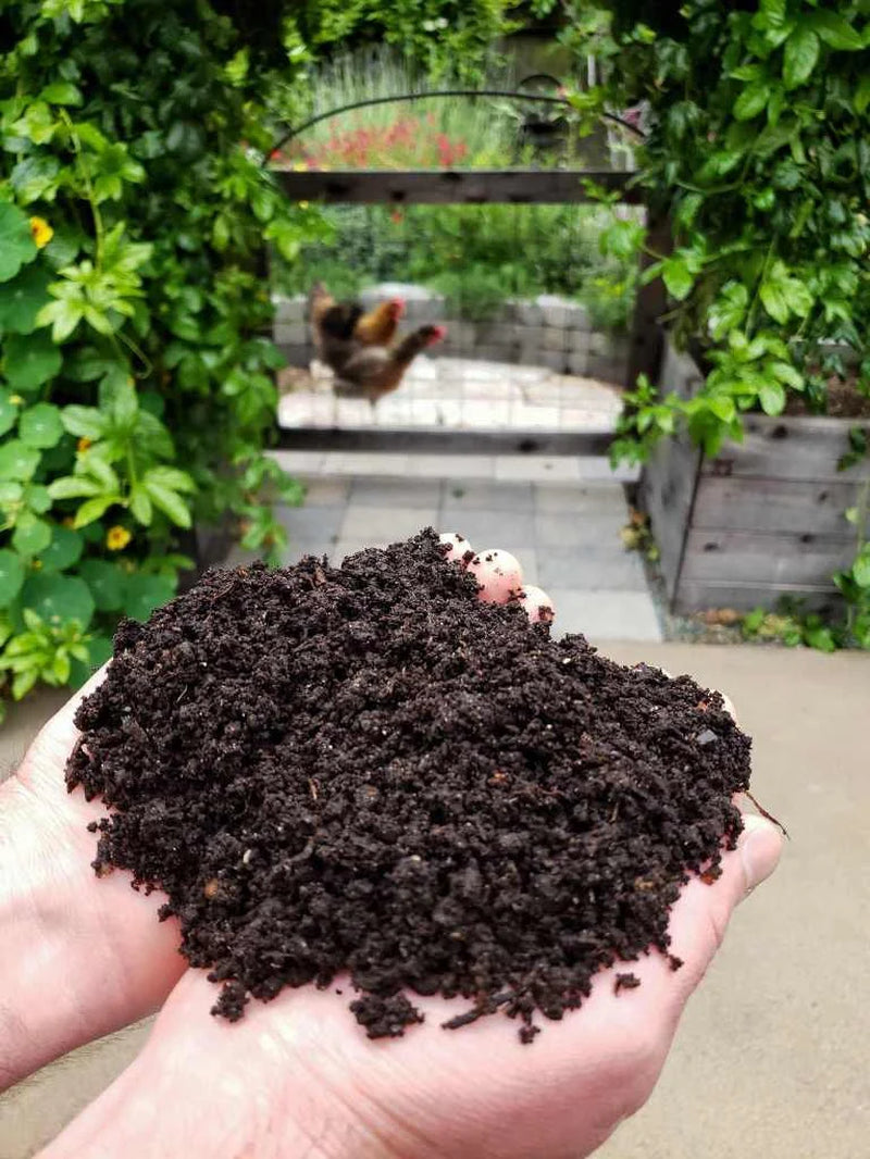 Worm Compost Tea Bag - Vermicompost - Makes 5 Gallons! - Natural Fertilizer - Natural Gardening - Brew Compost Tea