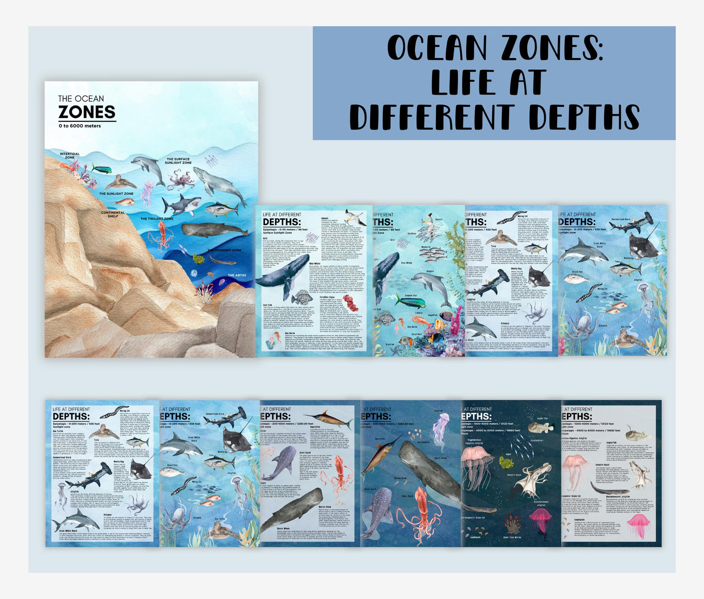 3 Unit Study BUNDLE Educational Resources for Teachers, Homeschool and Montessori Learning Spaces, Watercolor Illustrations