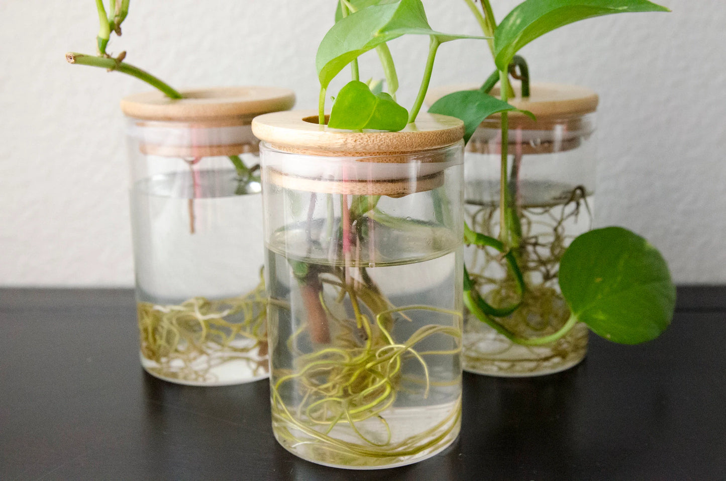 Propagation Station Jar Flower Vase with Bamboo Lid