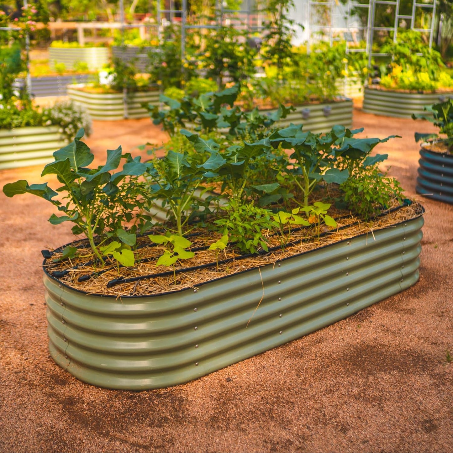 Raised Garden Bed Kits, 17" Tall 6 in 1 Modular Metal Raised Planter Bed for Vegetables Flowers Patio Ground Planter Box-Olive Green