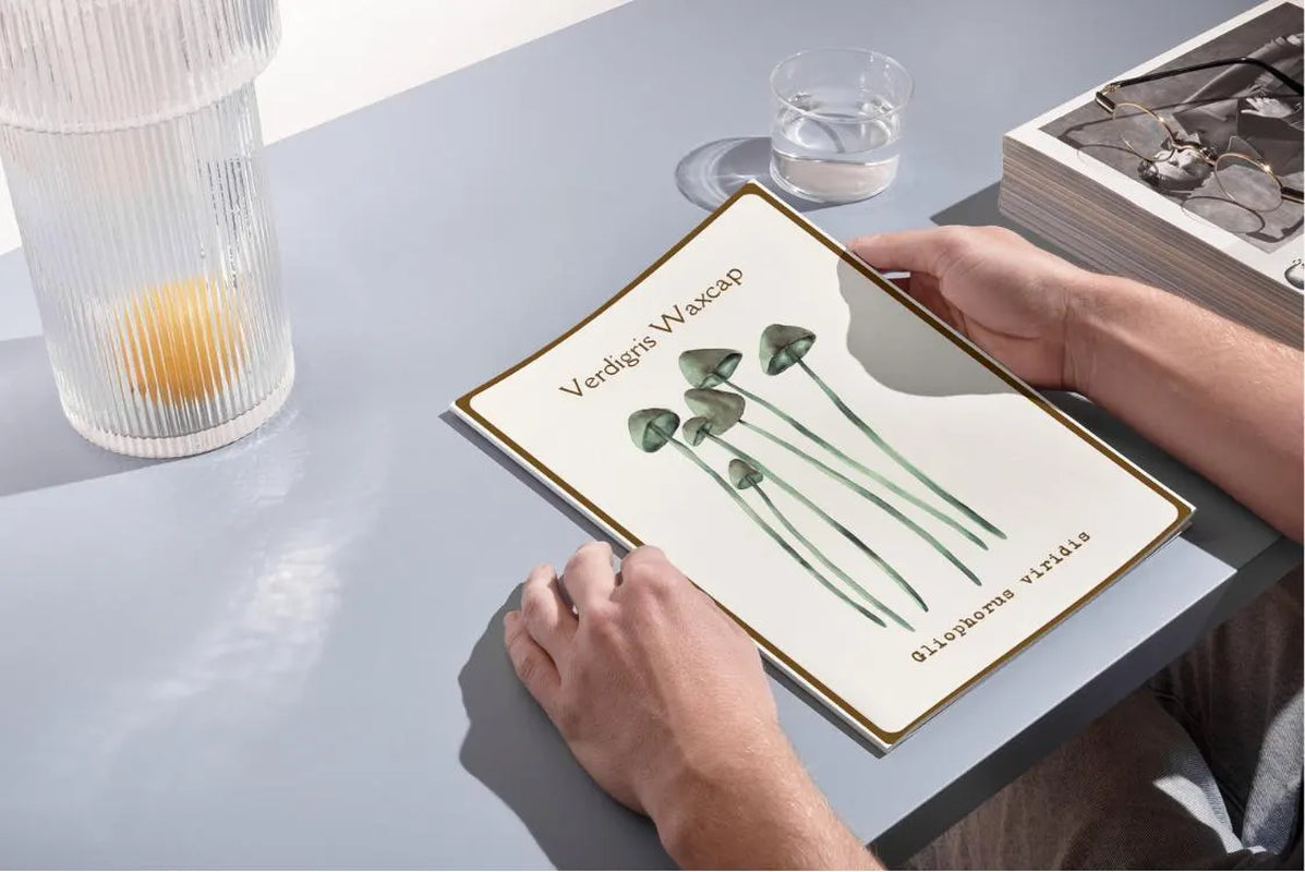 Watercolor Mushroom Flashcards | Reggio Nature Study, Montessori Learning Materials, Charlotte Mason, Early Childhood, Homeschool Printables