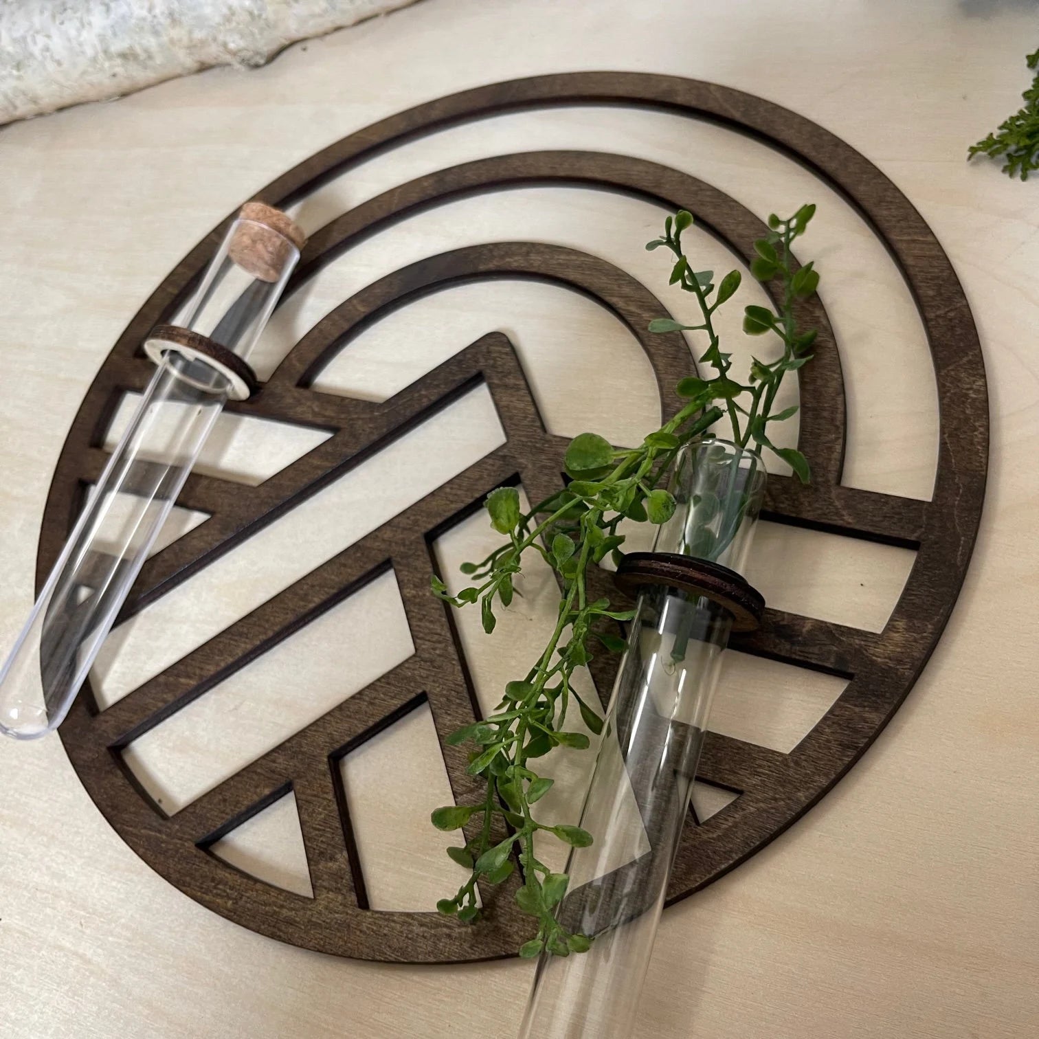 Wood Wall decor / Propagation station Air Plant Mountain Wall planter indoor Natural PNW Hanging Gifts for her plant lovers Plant Wall