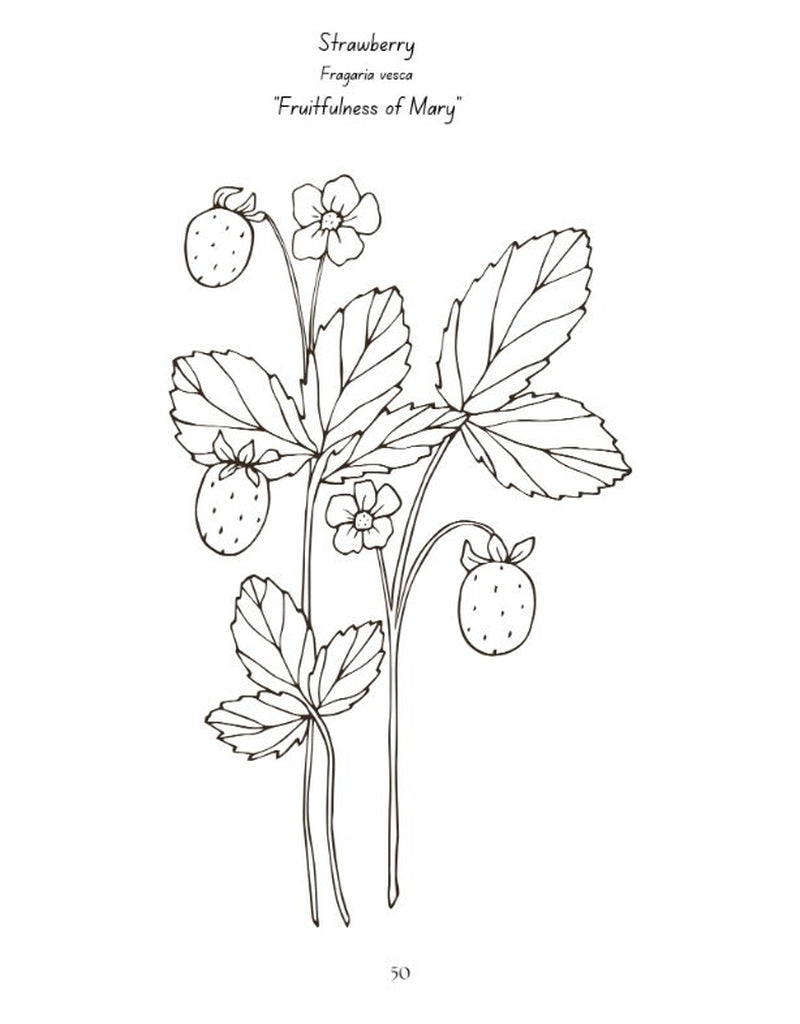 Mary's Garden of Flowers: Bible & Nature Study Downloadable Curriculum
